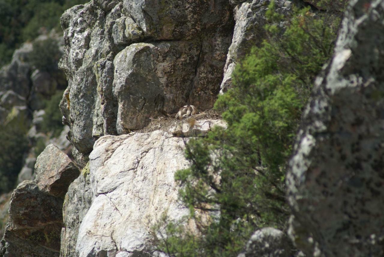 Вилла Monte Do Pego Arneiro  Экстерьер фото